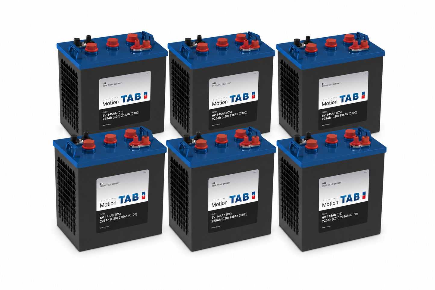 Tab 6 x 6 Volt Monobloc Batteries