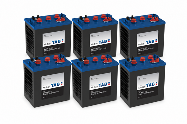 Tab 6 x 6 Volt Monobloc Batteries