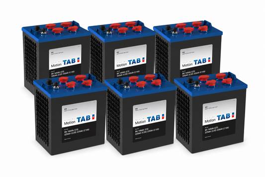 6 x 8 Volt Monobloc Batteries